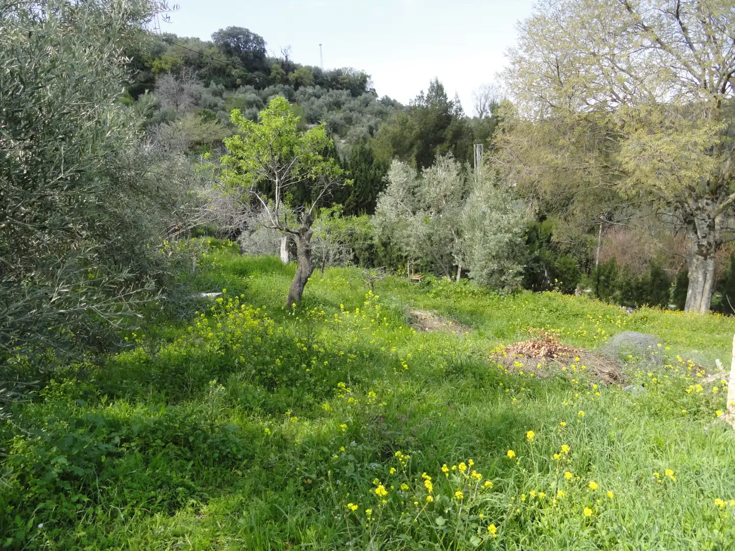 Land for sale in La Iruela