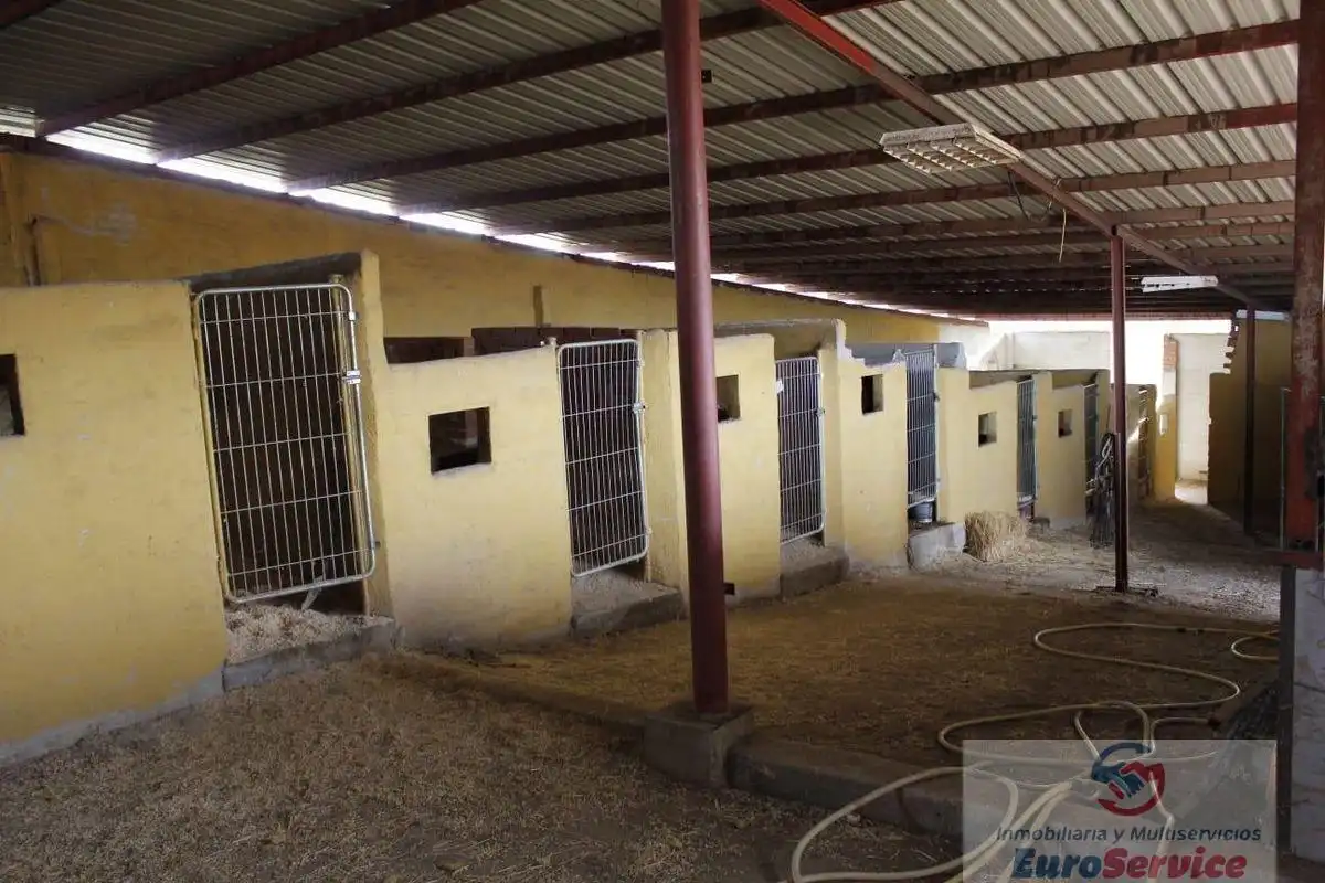 Finca rústica en venta en Castillo Campodón