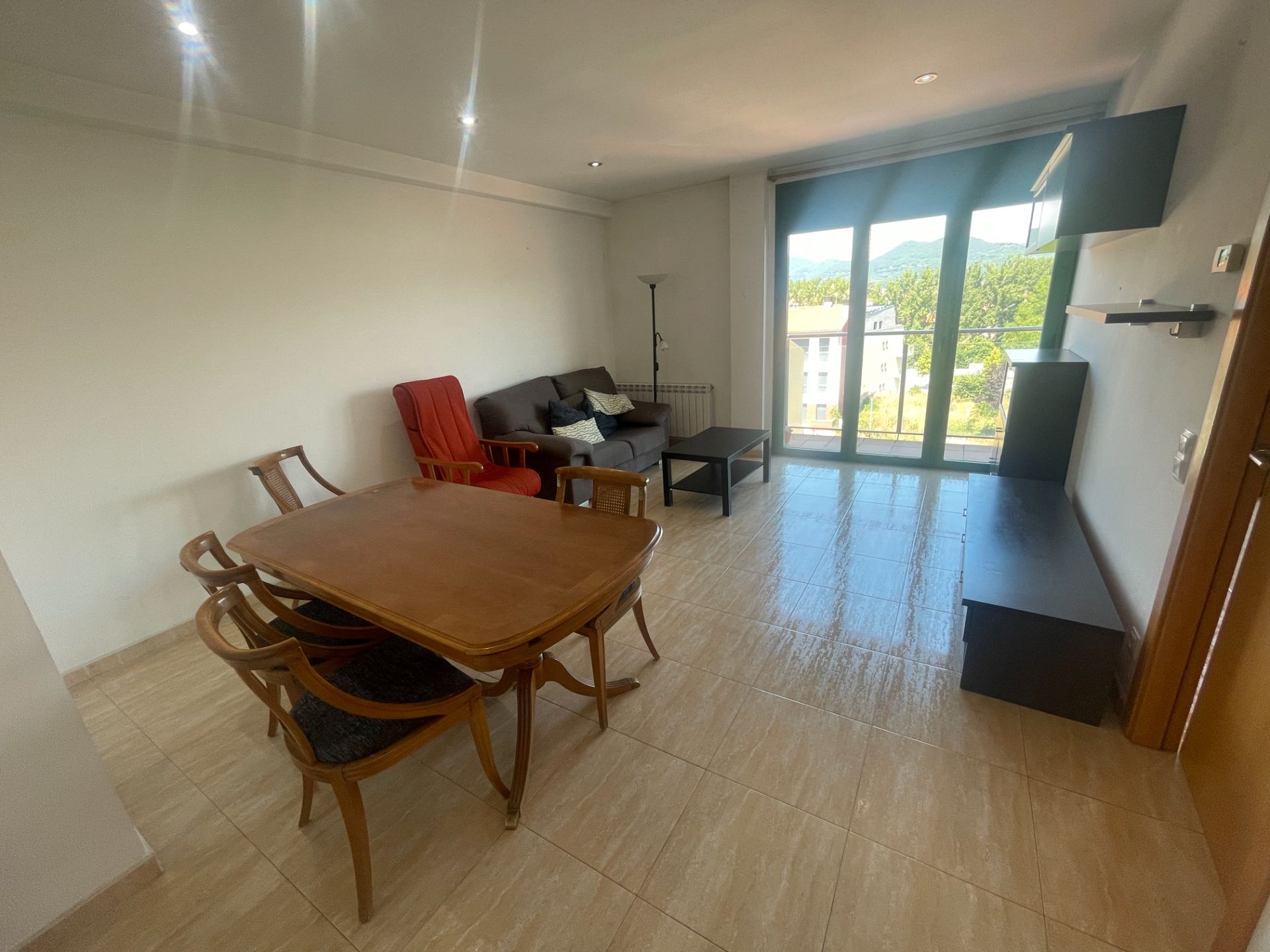 Sala de estar de Piso en venta en Olot con Calefacción