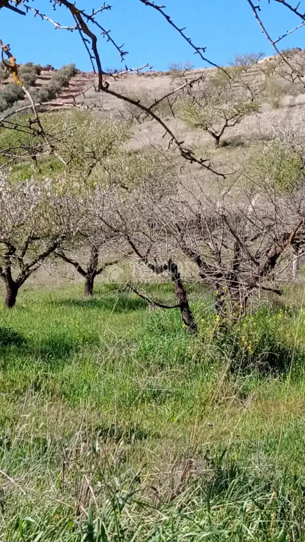Rustikales Grundstück zum Verkauf in Gójar, imagen 11