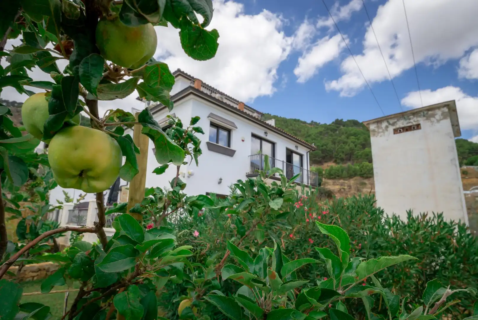 Vista exterior de Casa o xalet en venda en Casarabonela amb Calefacció, Jardí privat i Terrassa