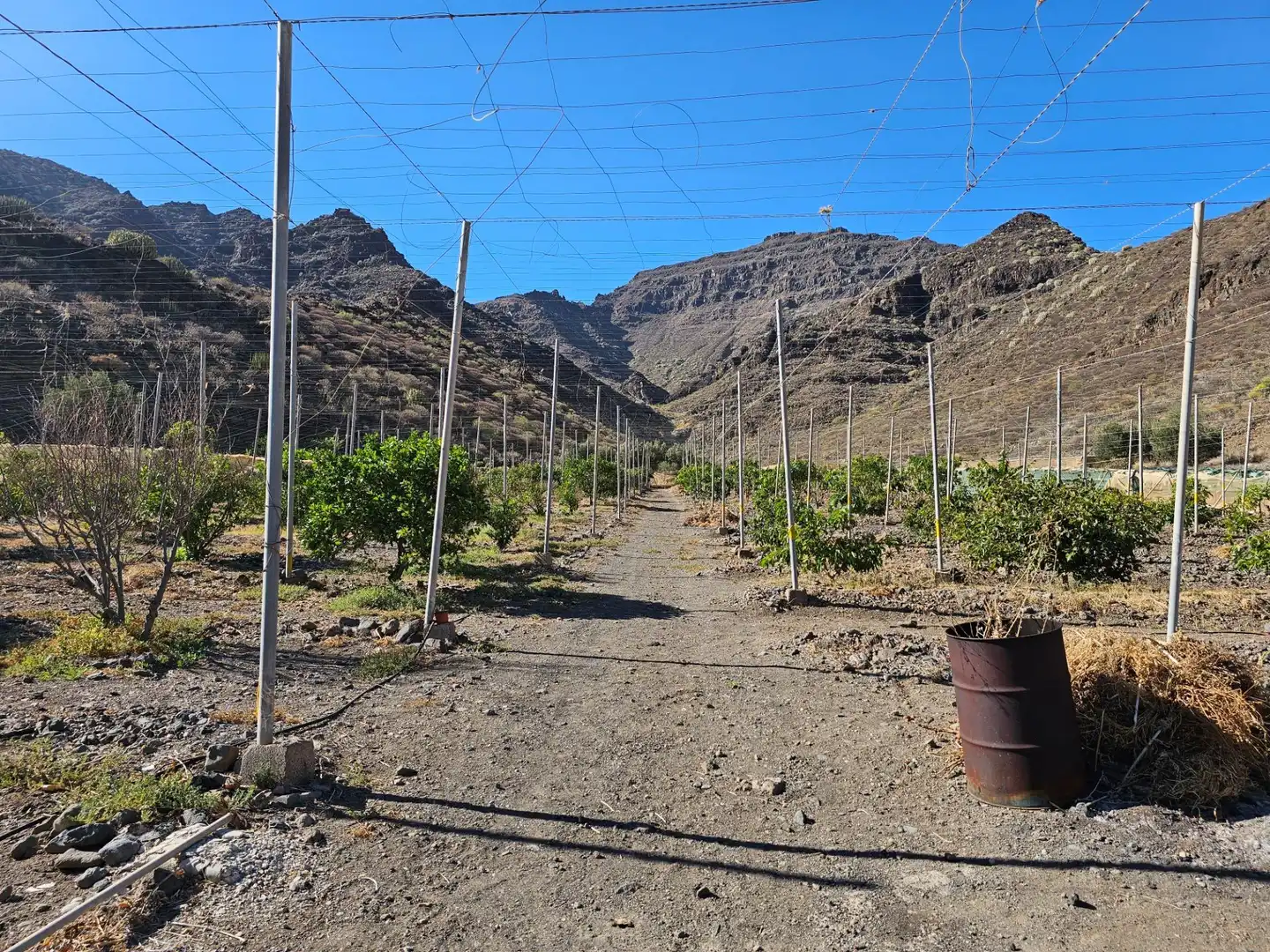 Vista exterior de Finca rústica en venta en La Aldea de San Nicolás  con Jardín privado, Terraza y Trastero
