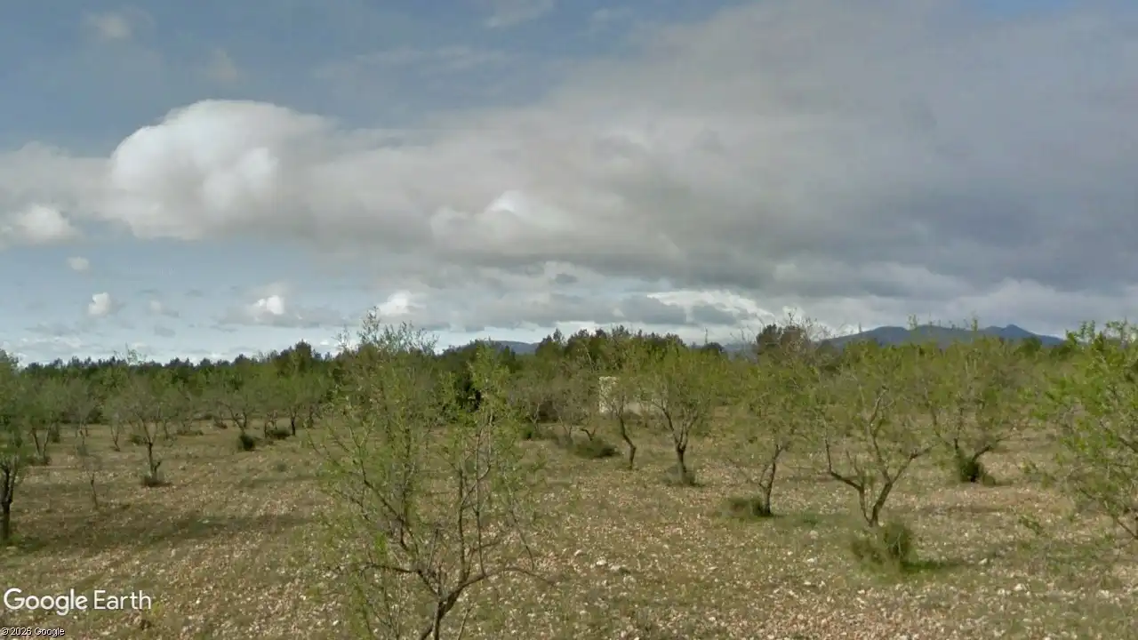 Land for sale in Traiguera