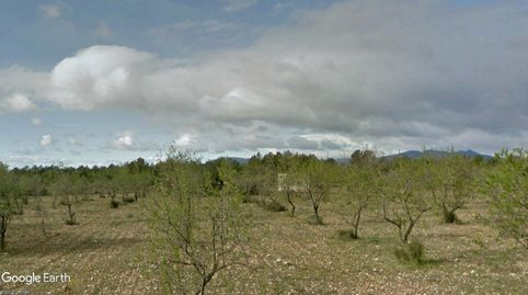 Photo 5 of Land for sale in N/a, -1, Traiguera, Castellón