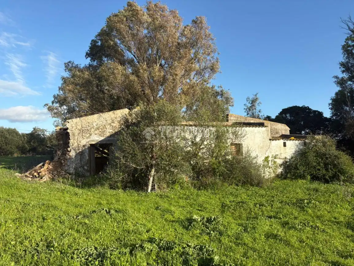 Terrain rustique à vendre à Vejer, imagen 21