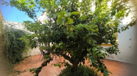 Foto 3 von Einfamilien-Reihenhaus zum Verkauf in Calle Rafael Alberti, 22, Albaida del Aljarafe, Sevilla