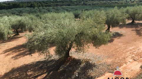 Finca Rúst. en venta en Sant Jordi., imatge 3