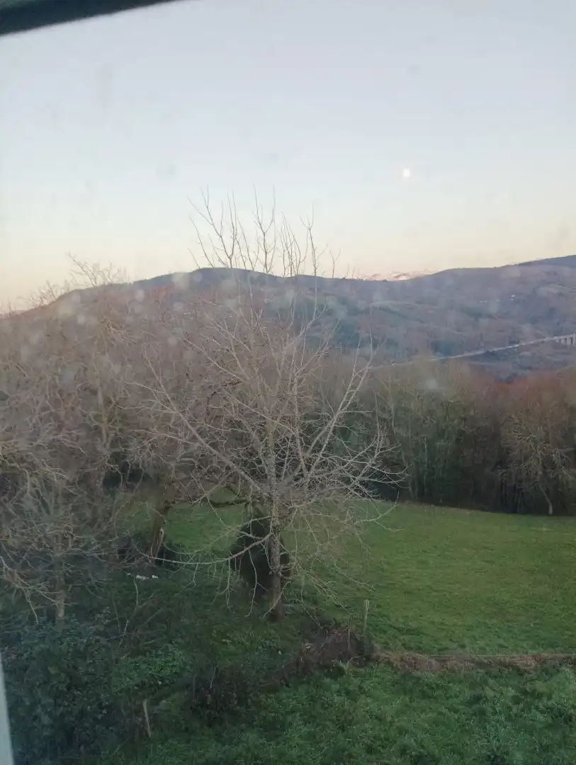 Jardí de Casa o xalet en venda en Becerreá amb Moblat