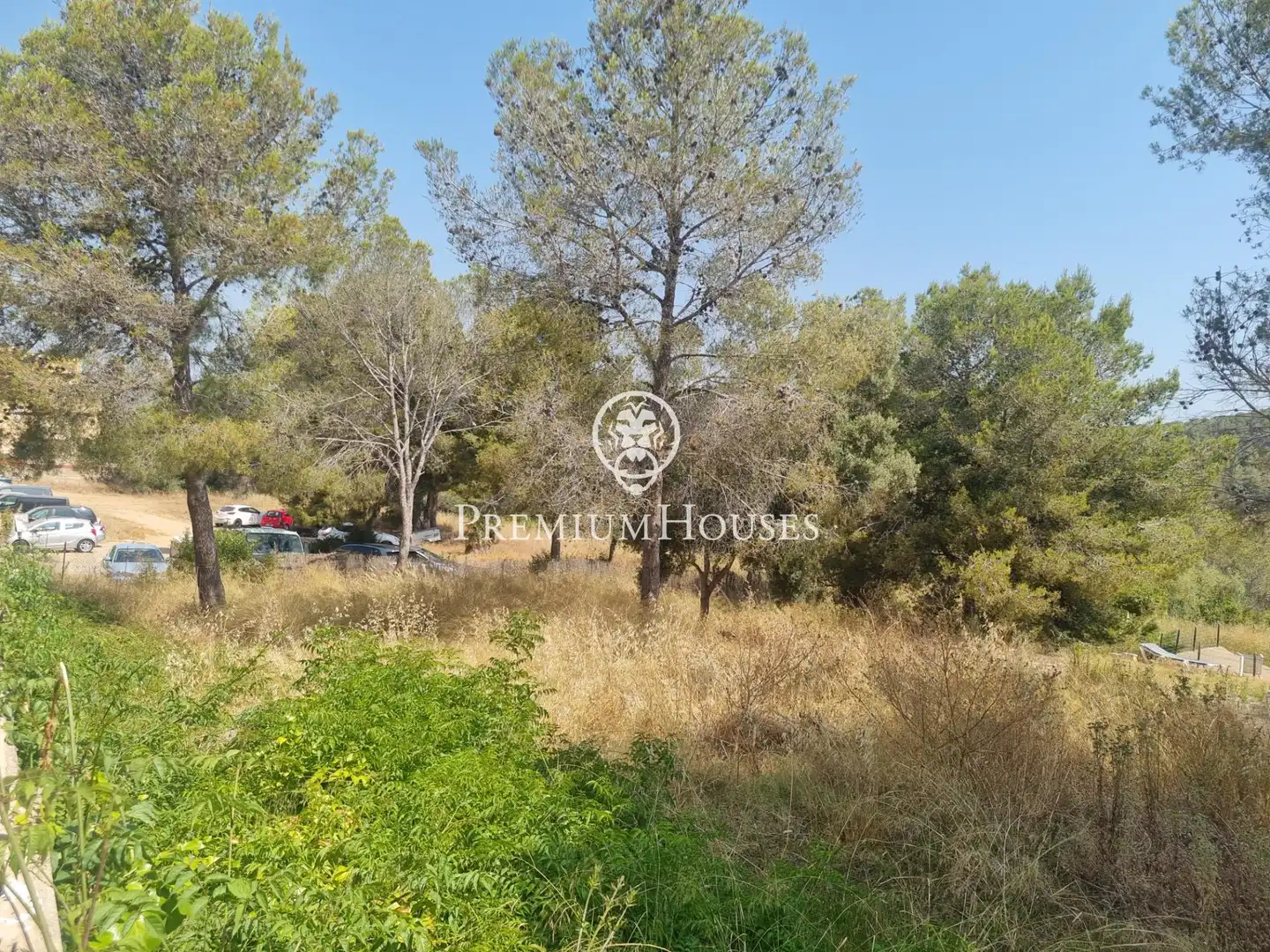 Terrain rustique à vendre à Vallpineda - Rocamar, imagen 4