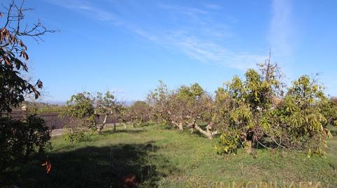 Foto 5 de Casa o xalet en venda a N/a, Pinos de Alhaurín, Málaga