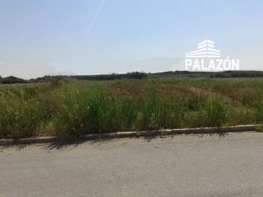 Terreno rustico in vendita a Crevillent