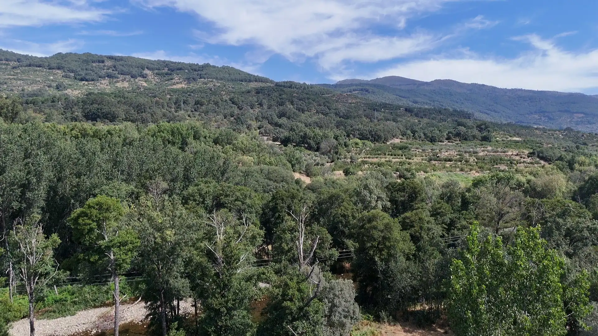 Xalet amb piscina en venda a Casas del Castañar, imagen 5