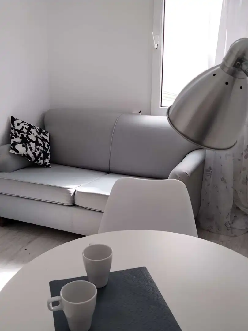 Wohnzimmer von Wohnungen zur untervermieten in Madrid mit Klimaanlage, Heizung und Terrasse