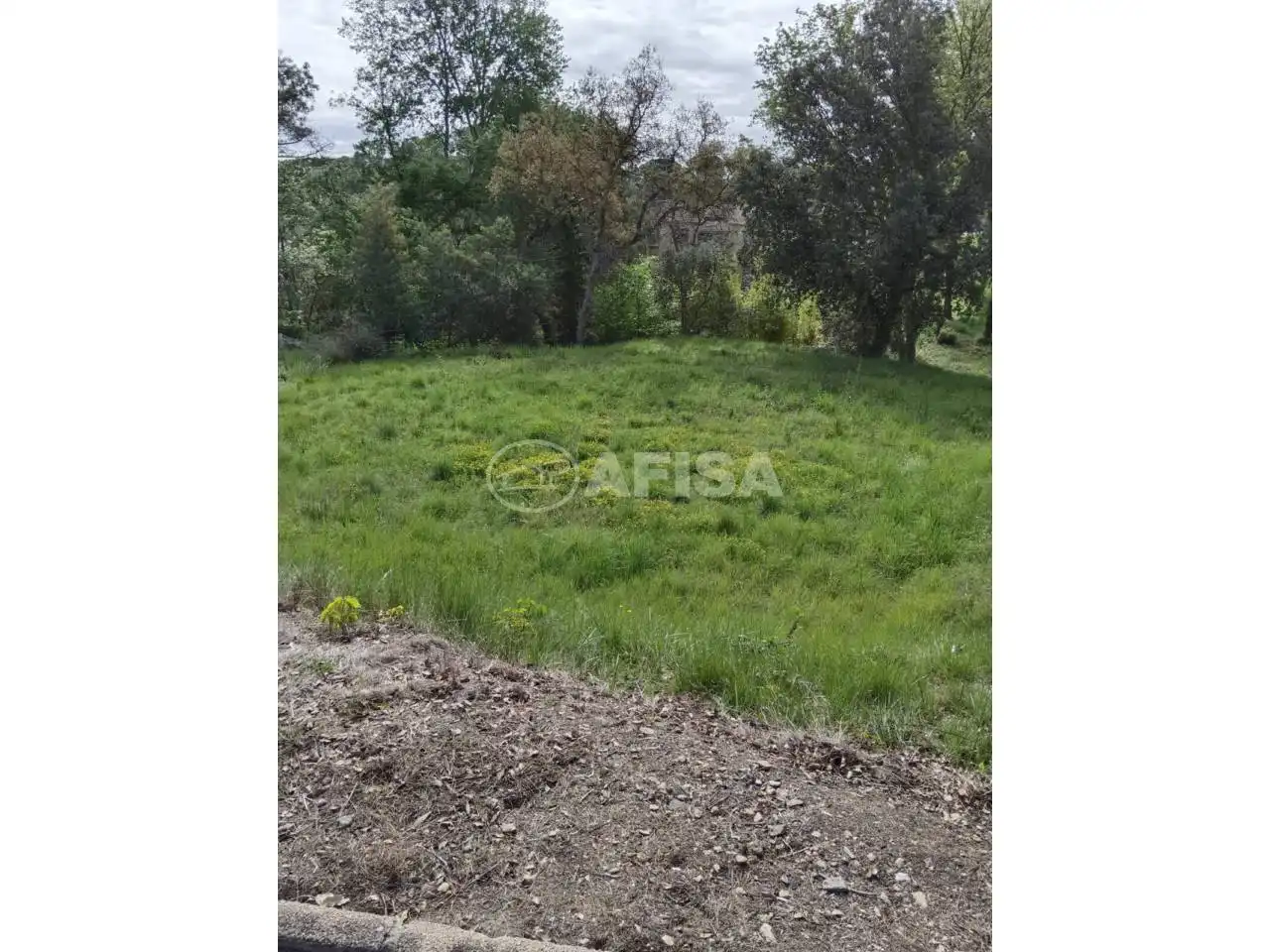 Terreno residenziale in affitto a Santa Coloma de Farners, imagen 14