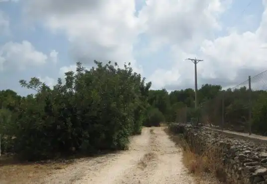 Country house for sale in Alcanar, imagen 5