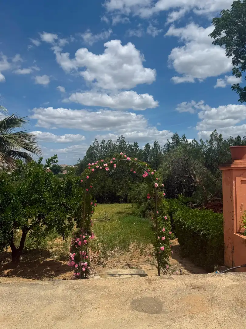 Chalet con piscina en venta en Carretera Olivares, imagen 65