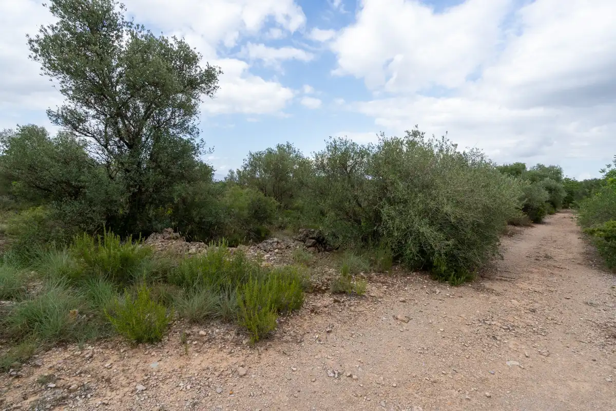 Rural land for sale in Vinallop, imagen 4