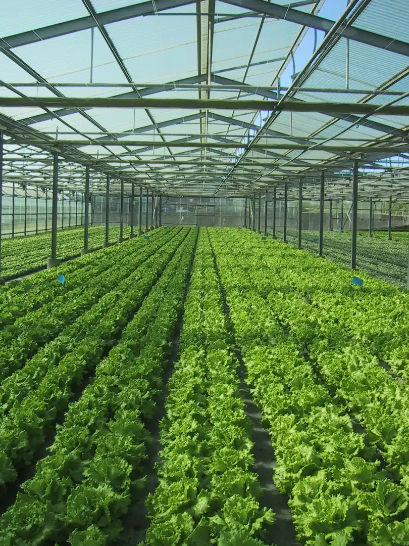 Garden of Land for sale in Donostia - San Sebastián 