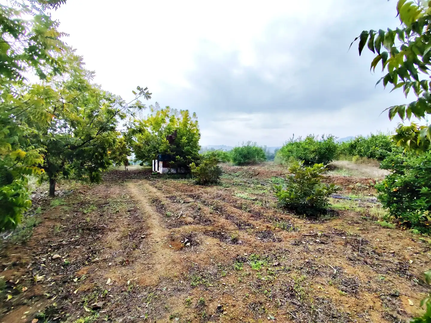 Maison rustique avec jardin à vendre à Coín, imagen 15