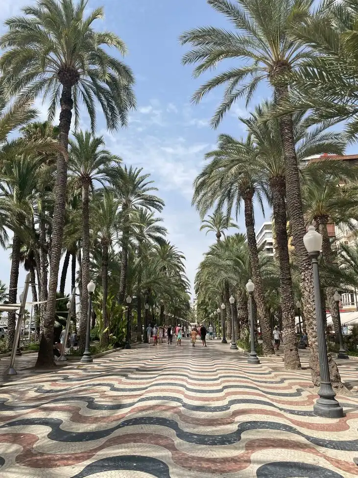 Apartment for sale in Partidas de Alicante, imagen 19