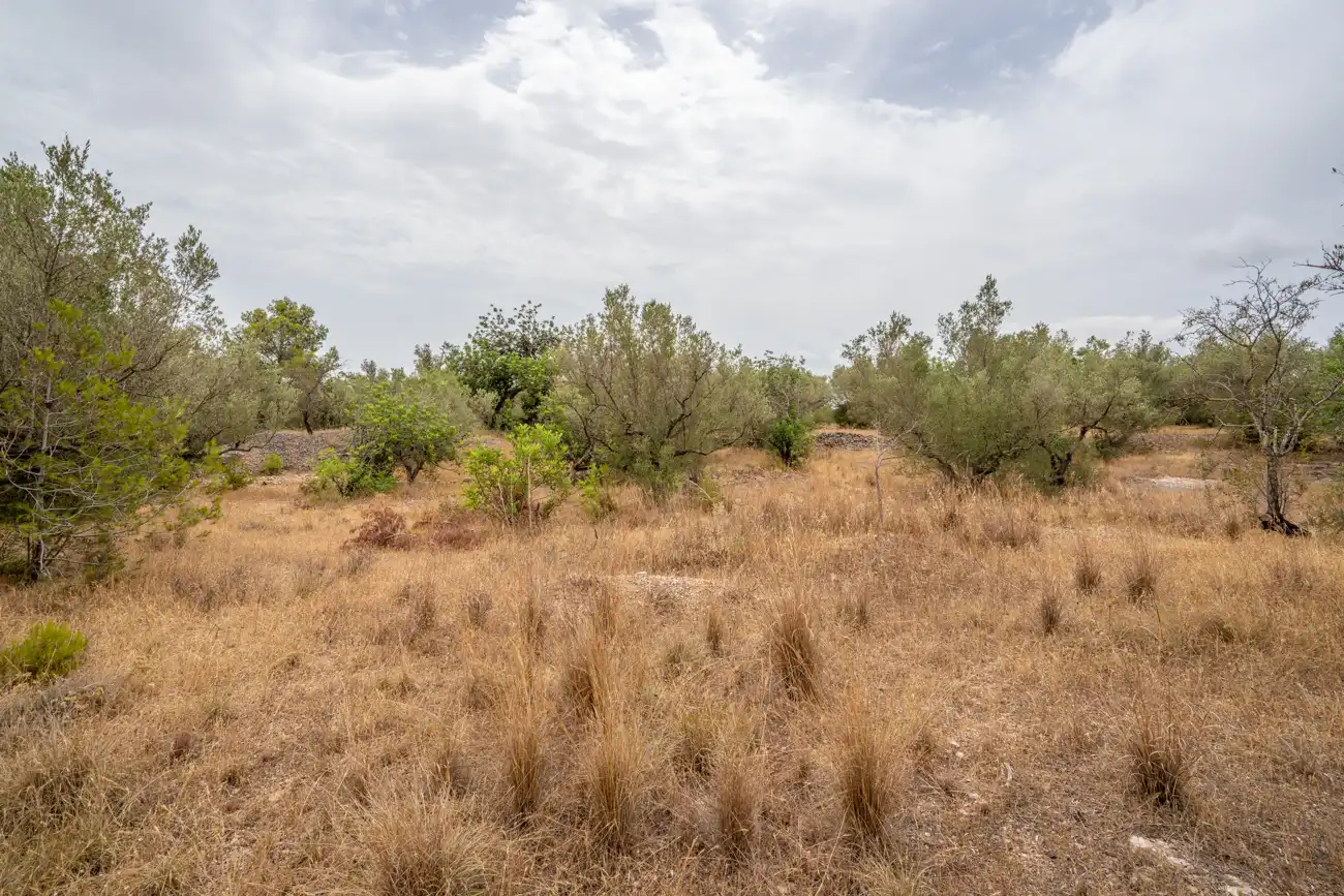 Terrain rustique à vendre à Carrer del Boix 54, imagen 8