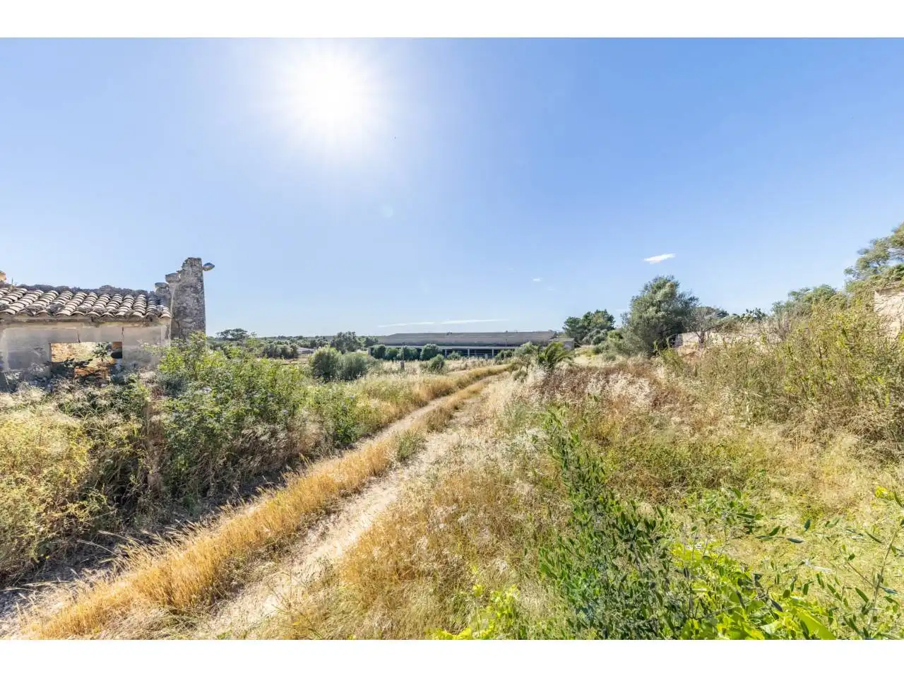 Terreno rustico in vendita a Llucmajor pueblo, imagen 24