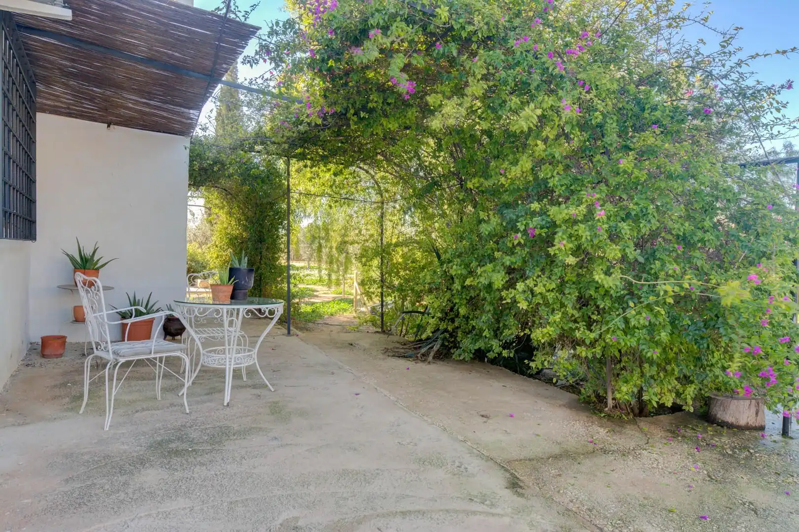 Jardín de Casa o chalet en venta en Elche / Elx con Calefacción, Jardín privado y Terraza