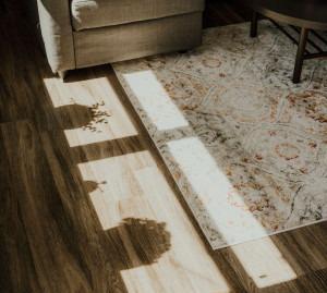 Photo 2 of Premises to rent in El Cantizal, Las Rozas de Madrid