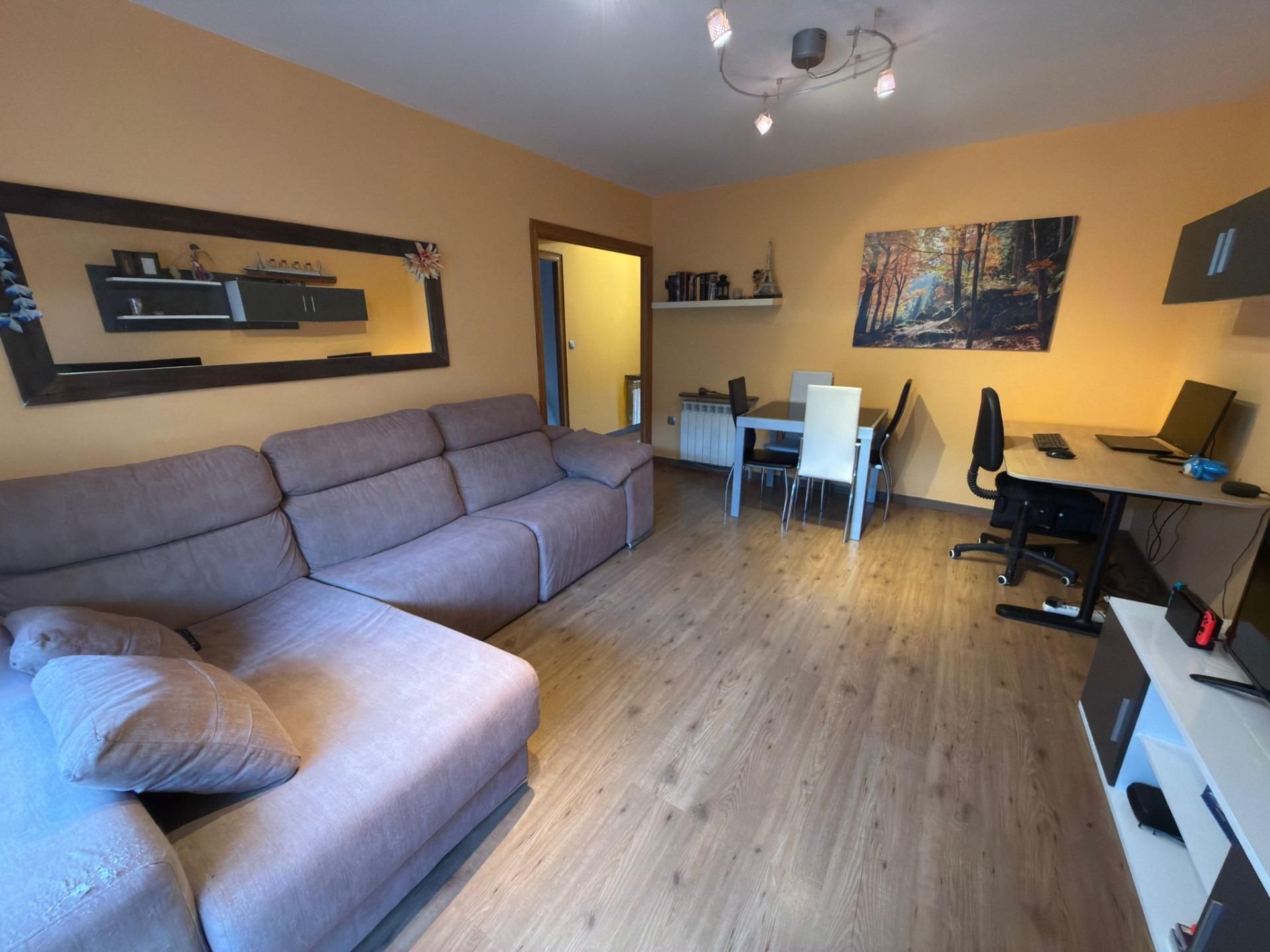 Living room of Flat for sale in Òdena  with Air Conditioner, Heating and Parquet flooring