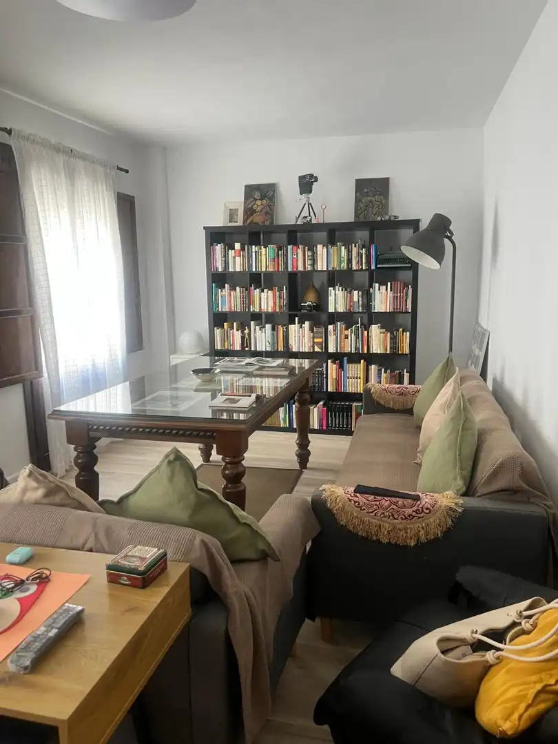 Living room of Flat for rent in Ronda  with Furnished