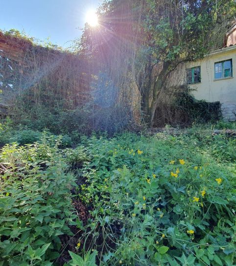 Foto 2 de Casa o chalet en venta en Belmonte de Miranda, Asturias