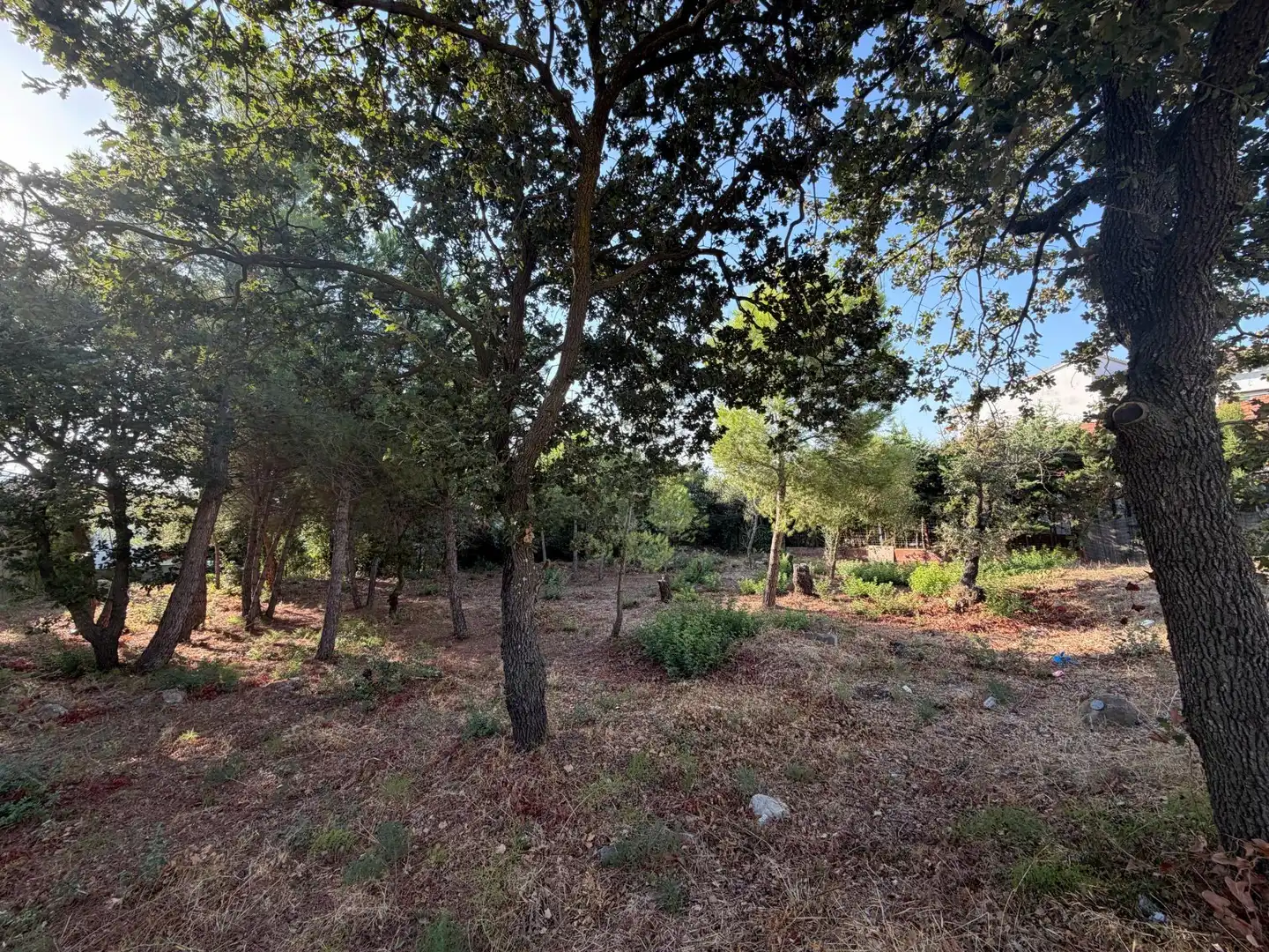 Residential for sale in DE L'EUCALIPTUS, 40, Nord