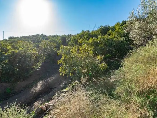 Terreni e lotti in vendita a Torrox Pueblo, imagen 3