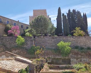 Exterior view of Building for sale in Ciudad Rodrigo