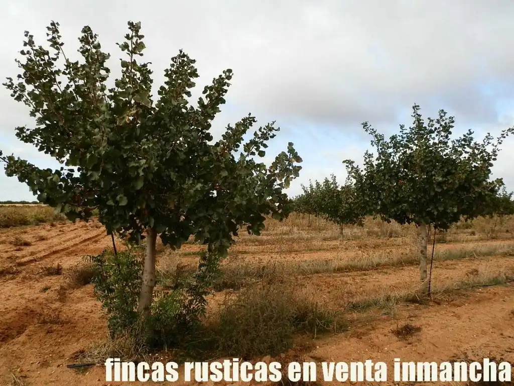 Terreni e lotti in vendita a Las Mesas, imagen 26