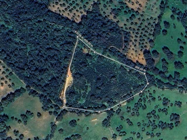 Terreno en Venta en Vial Camino, 469 en Chillón