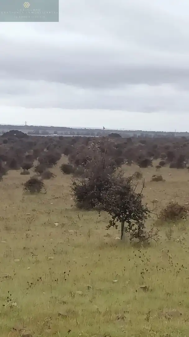 Finca rústica en venta en La Nava de Santiago  con Piscina