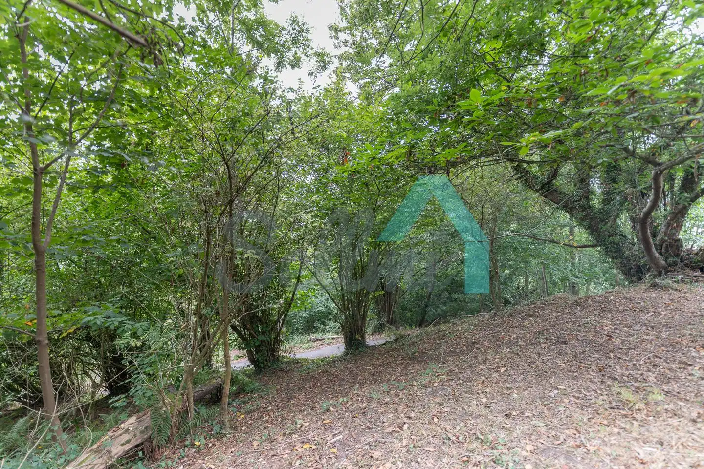 Casa con giardino in vendita a Veguín de Allá, imagen 64