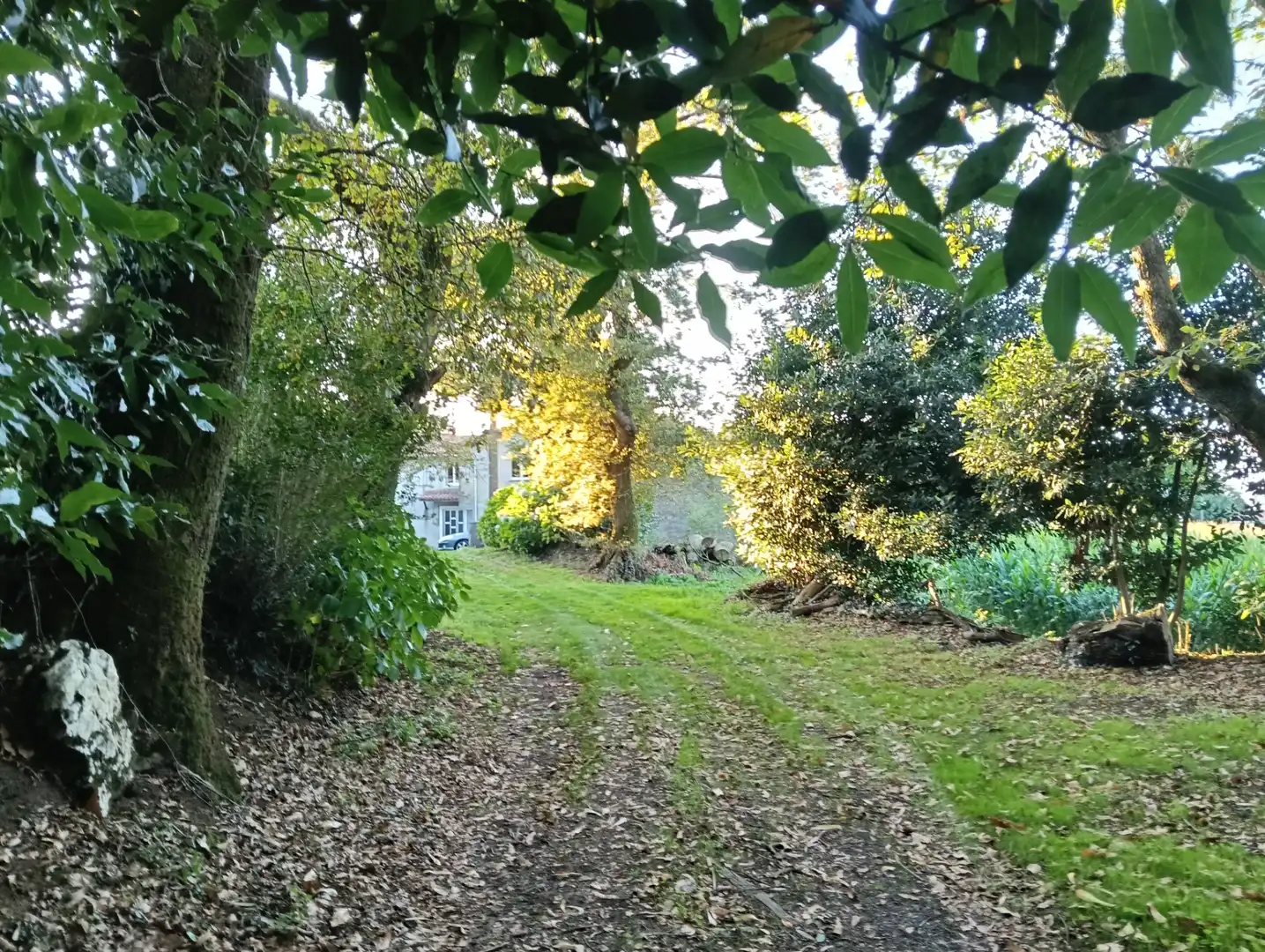 Maison avec jardin à vendre à Cesuras, imagen 19