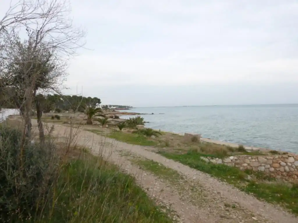 Terreni e lotti in vendita a Alcanar, imagen 3