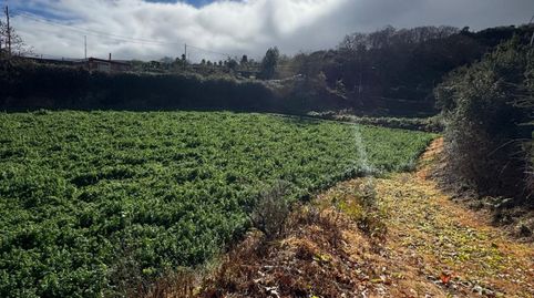 Foto 5 de Terreny en venda a Palo Blanco, Los Realejos