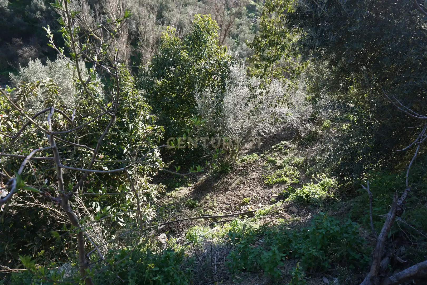 Terreni e lotti in vendita a WG79+QW Lanjarón, Spain, imagen 9