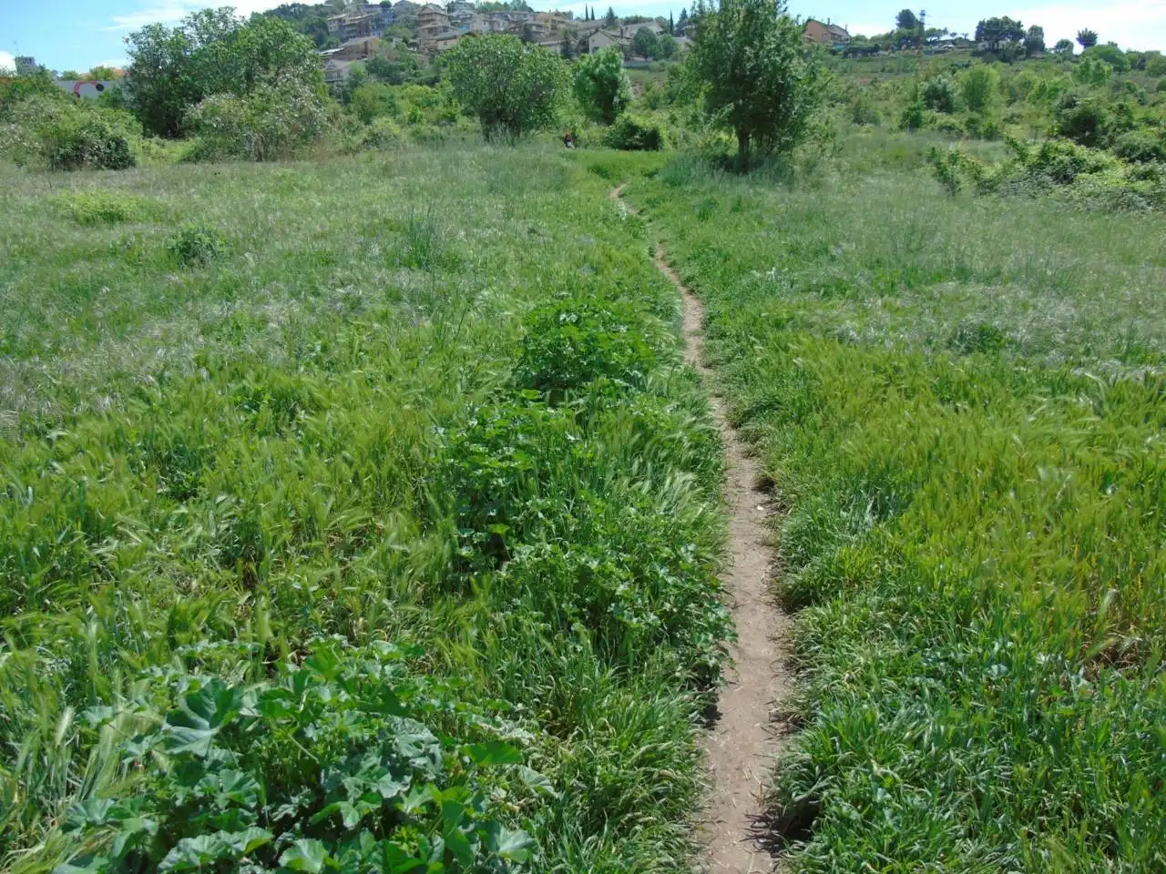 Terreno rustico in vendita a Berga, imagen 2