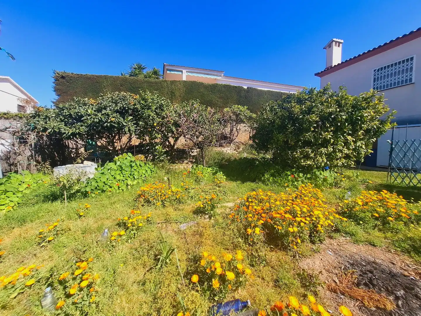 Detached house for sale in Santa Maria de Montserrat, imagen 12