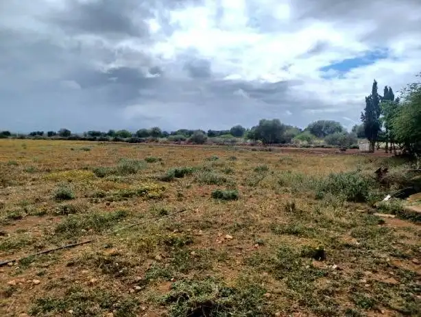 Rural land for sale in Felanitx Poble, imagen 9