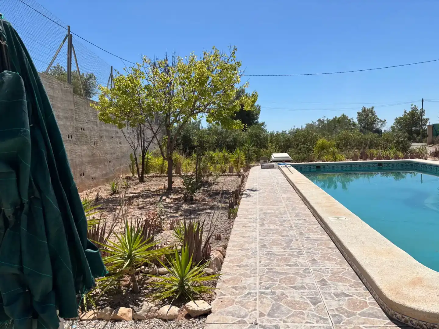 Schwimmbecken von Country house zur Miete in Crevillent