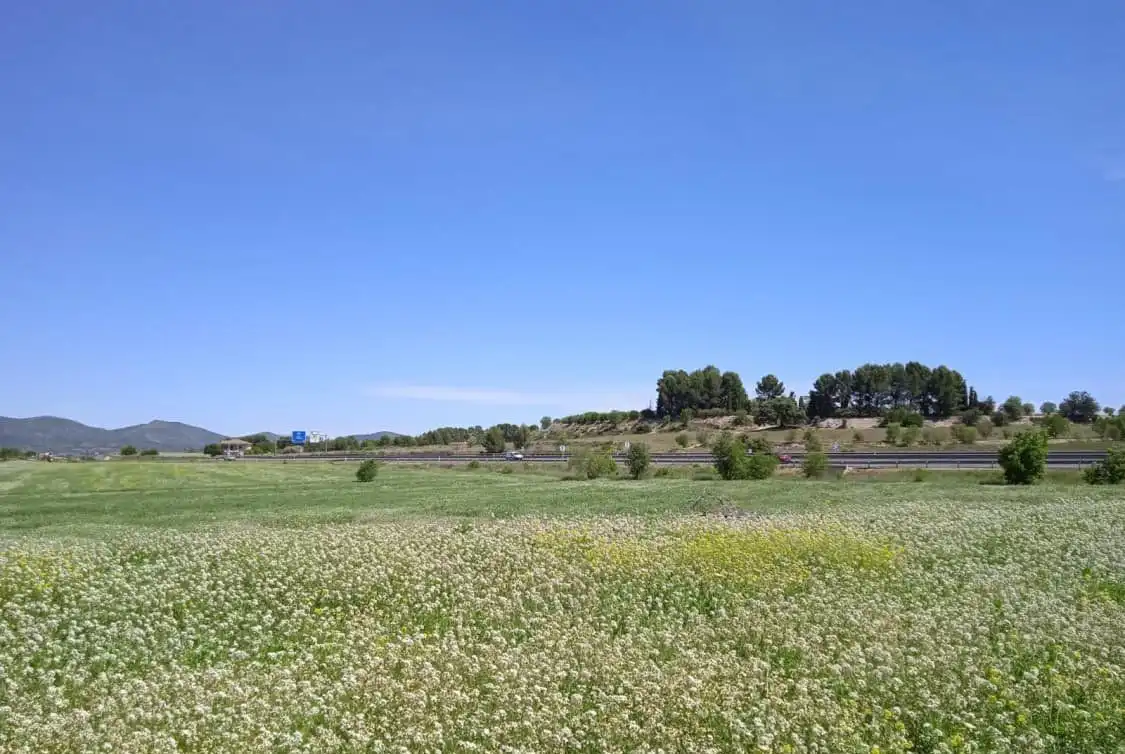 Terreno residenziale in vendita a Agullent, imagen 5