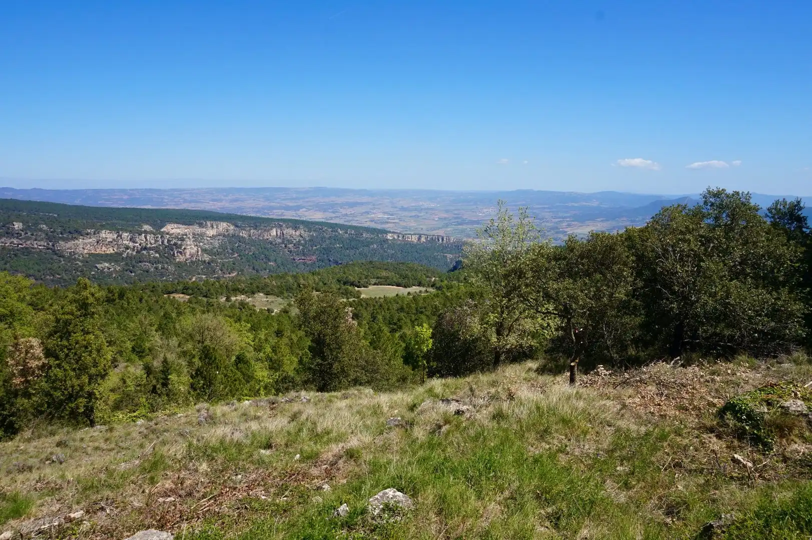 Terreno rústico en venta en La Serreta, imagen 22
