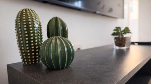 Foto 4 de Pis en venda a Calle Seminario, 12, Carretera Centro, Las Palmas de Gran Canaria