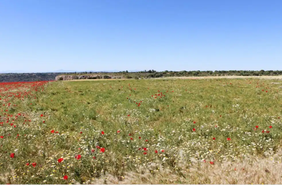 Terreno en venta en Valfermoso de Tajuña